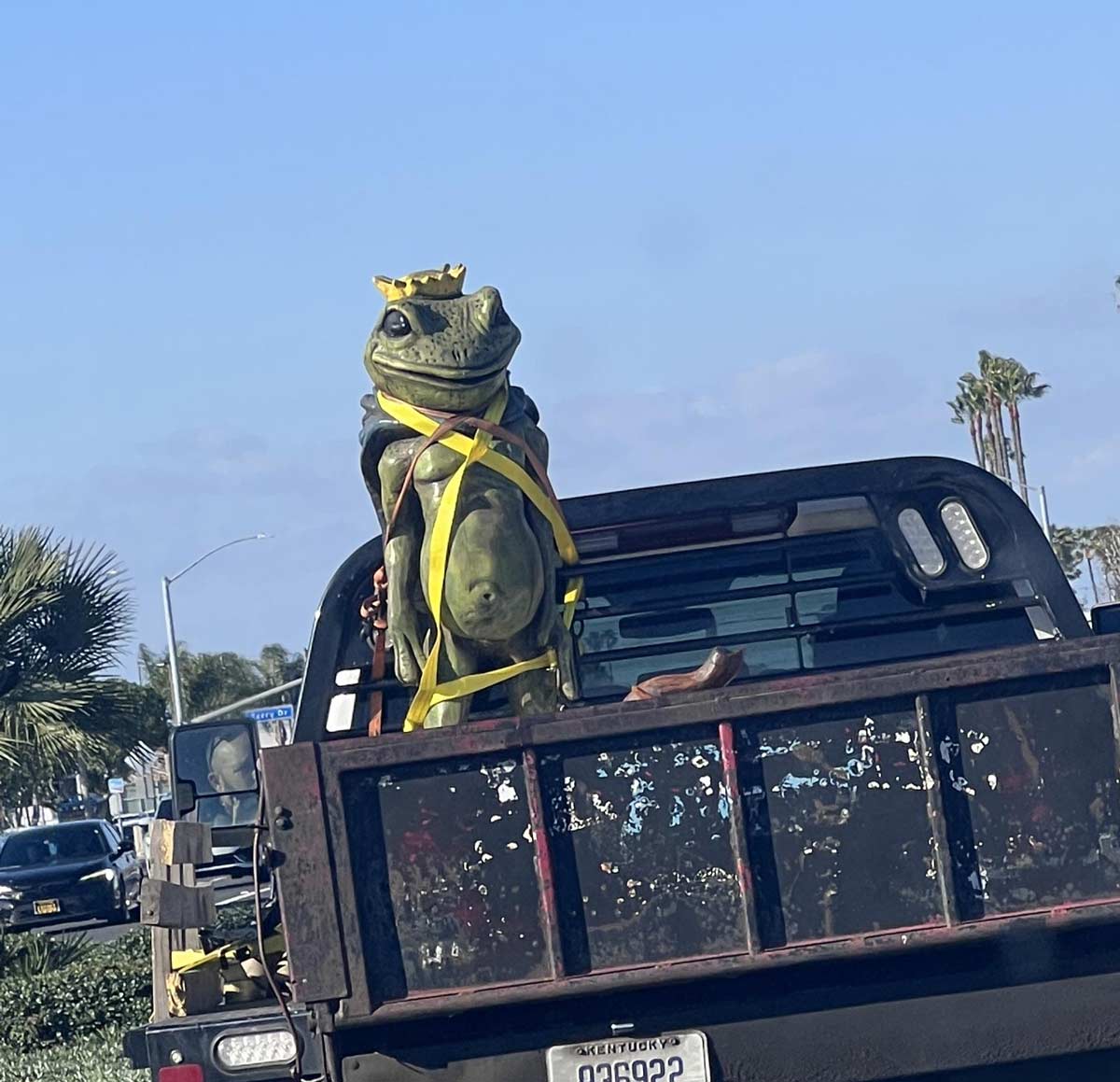 The frog king cut me off in traffic today
