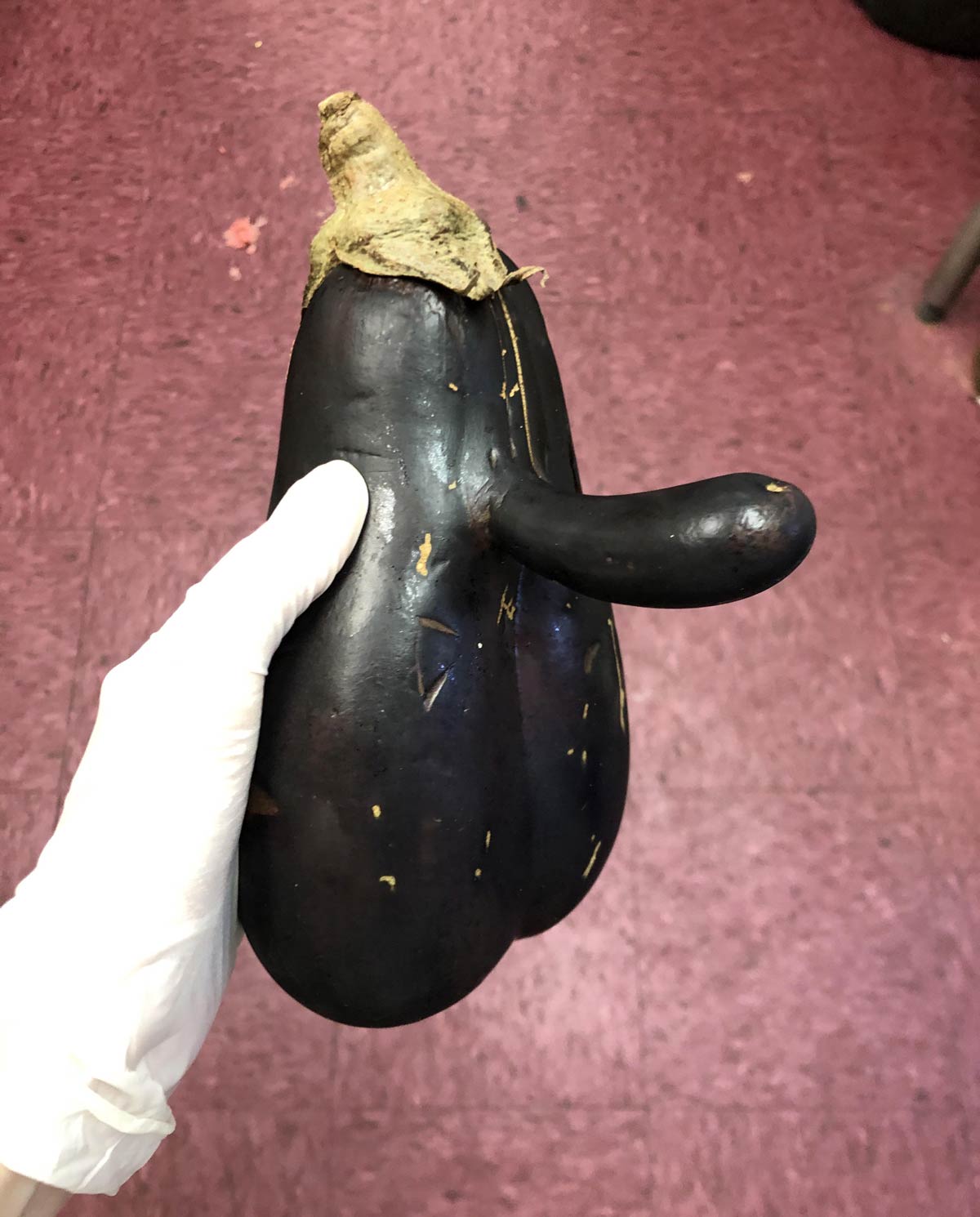 This eggplant I found a few years ago