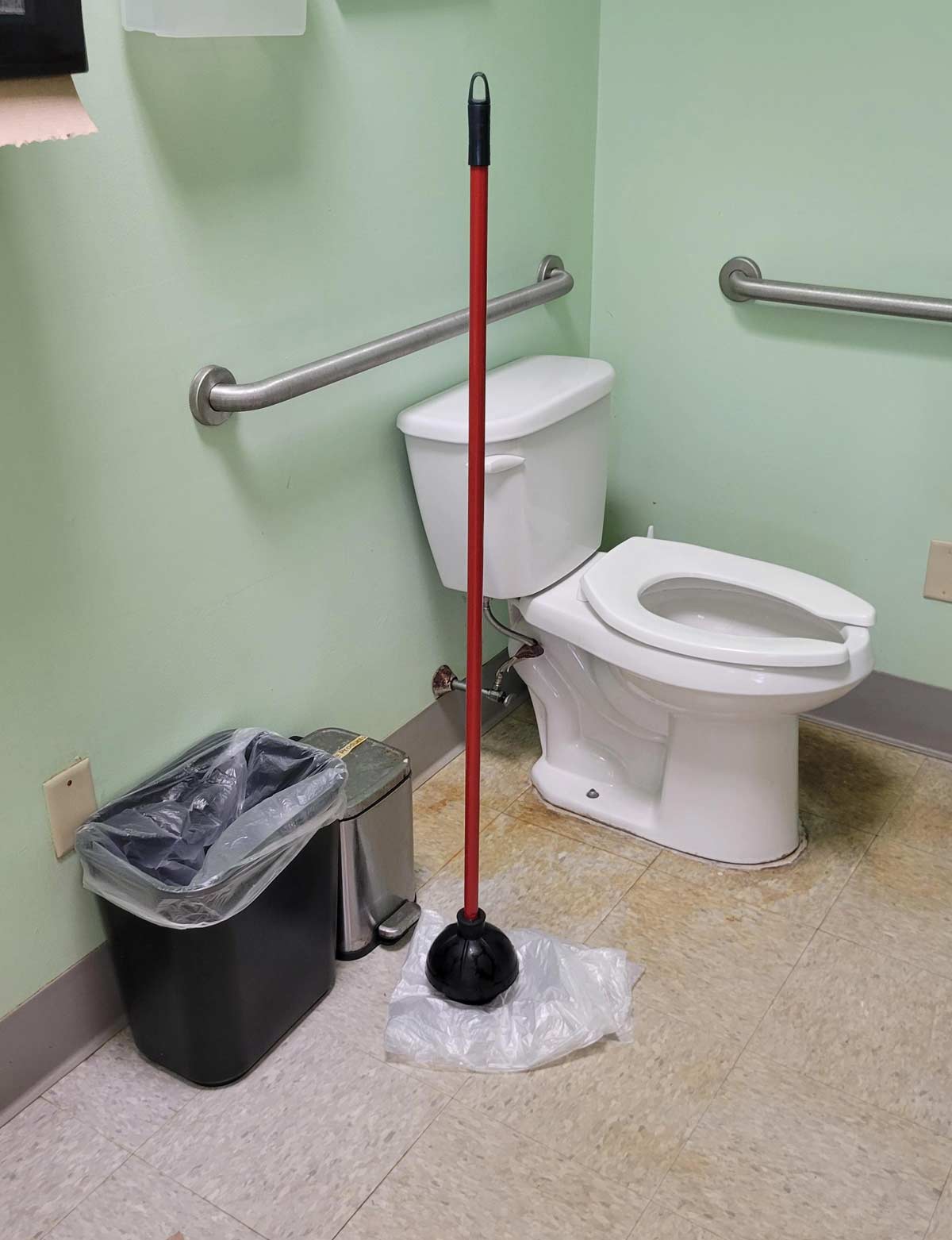 This plunger I saw today