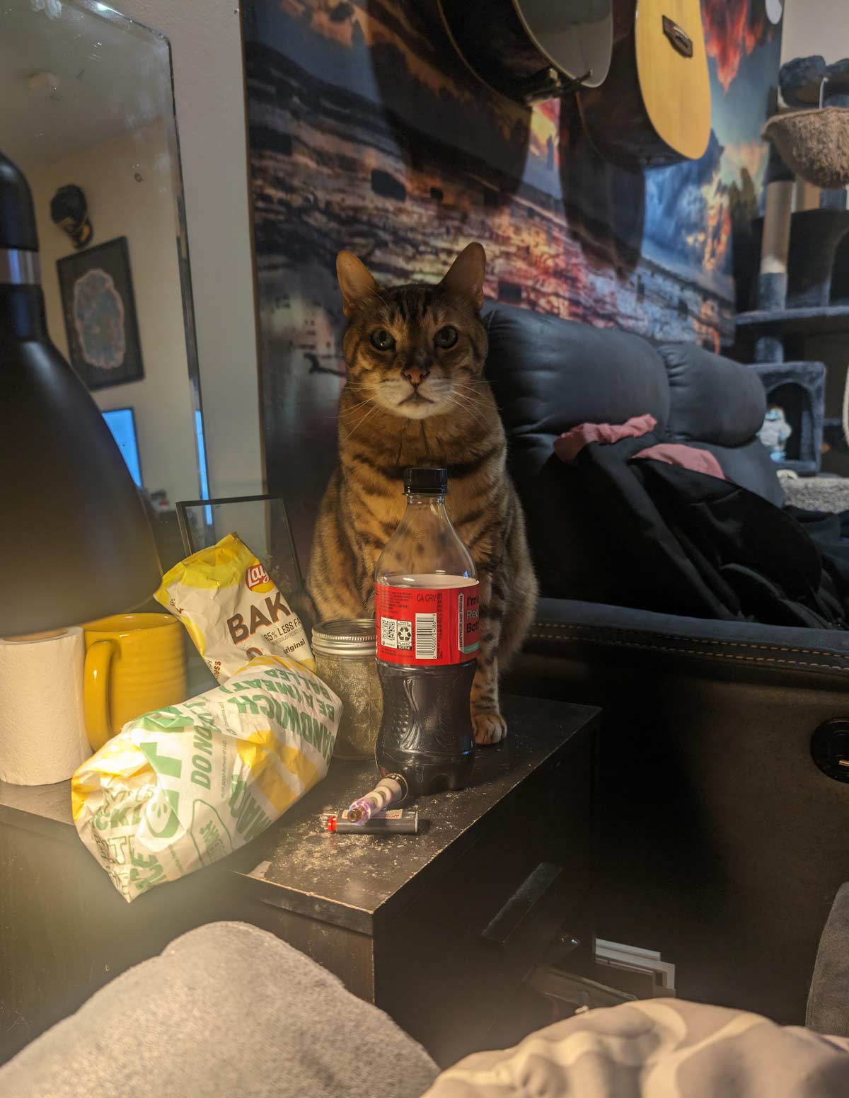 Got a tuna sandwich, and my cat's been staring at me like this ever since