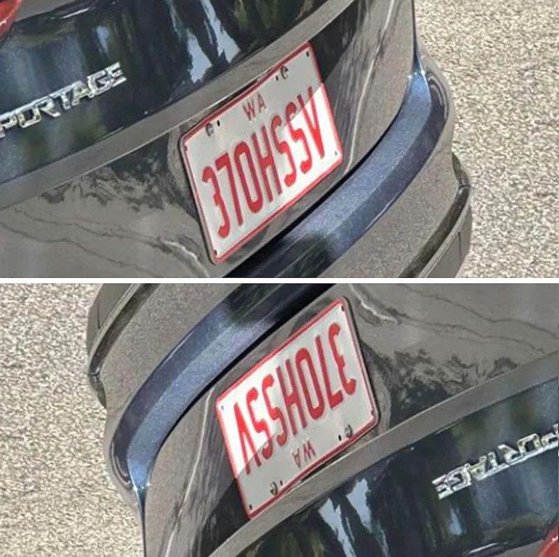 This license plate has a secret message (just turn it upside down)