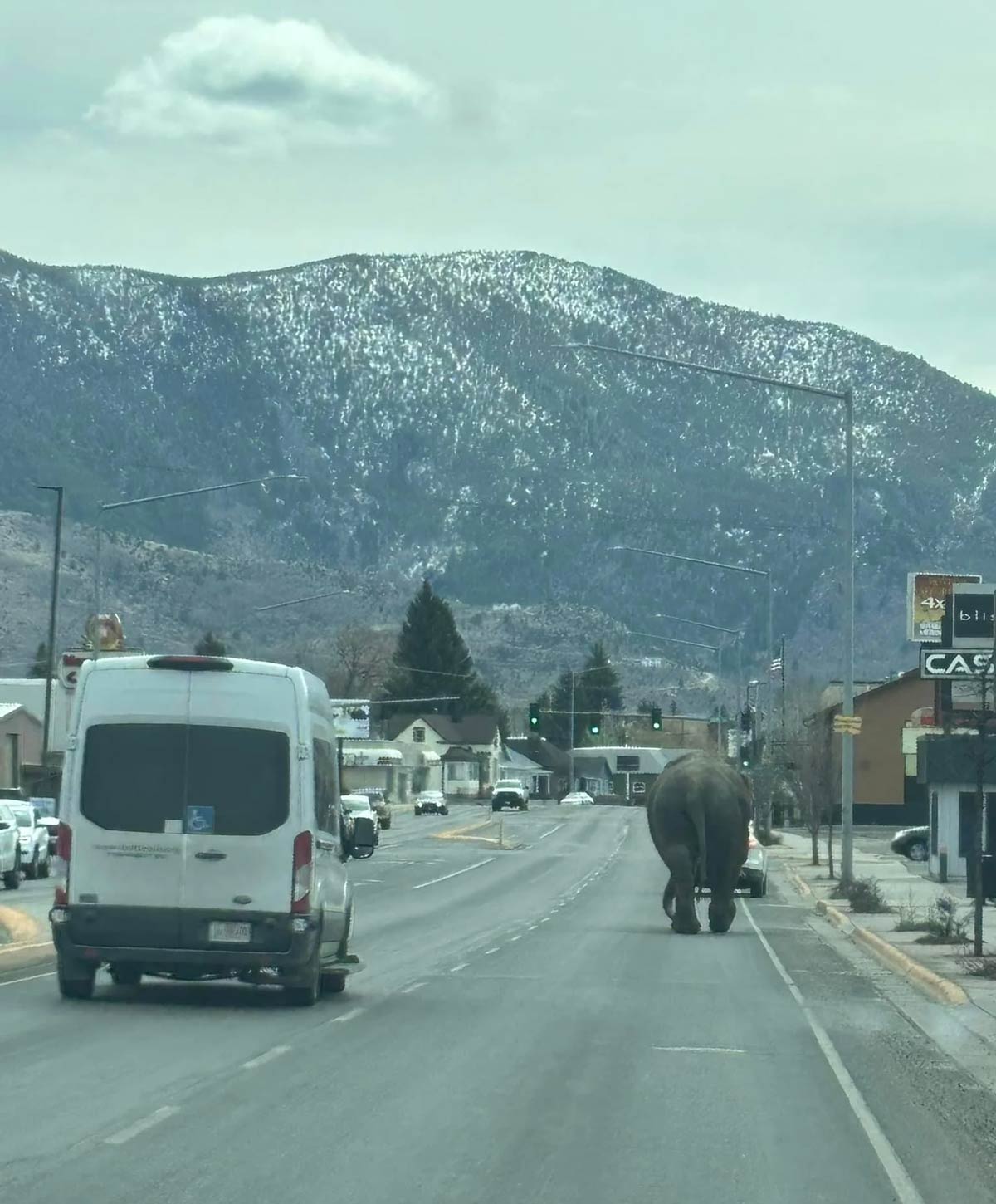 You don’t see that everyday… (Montana)