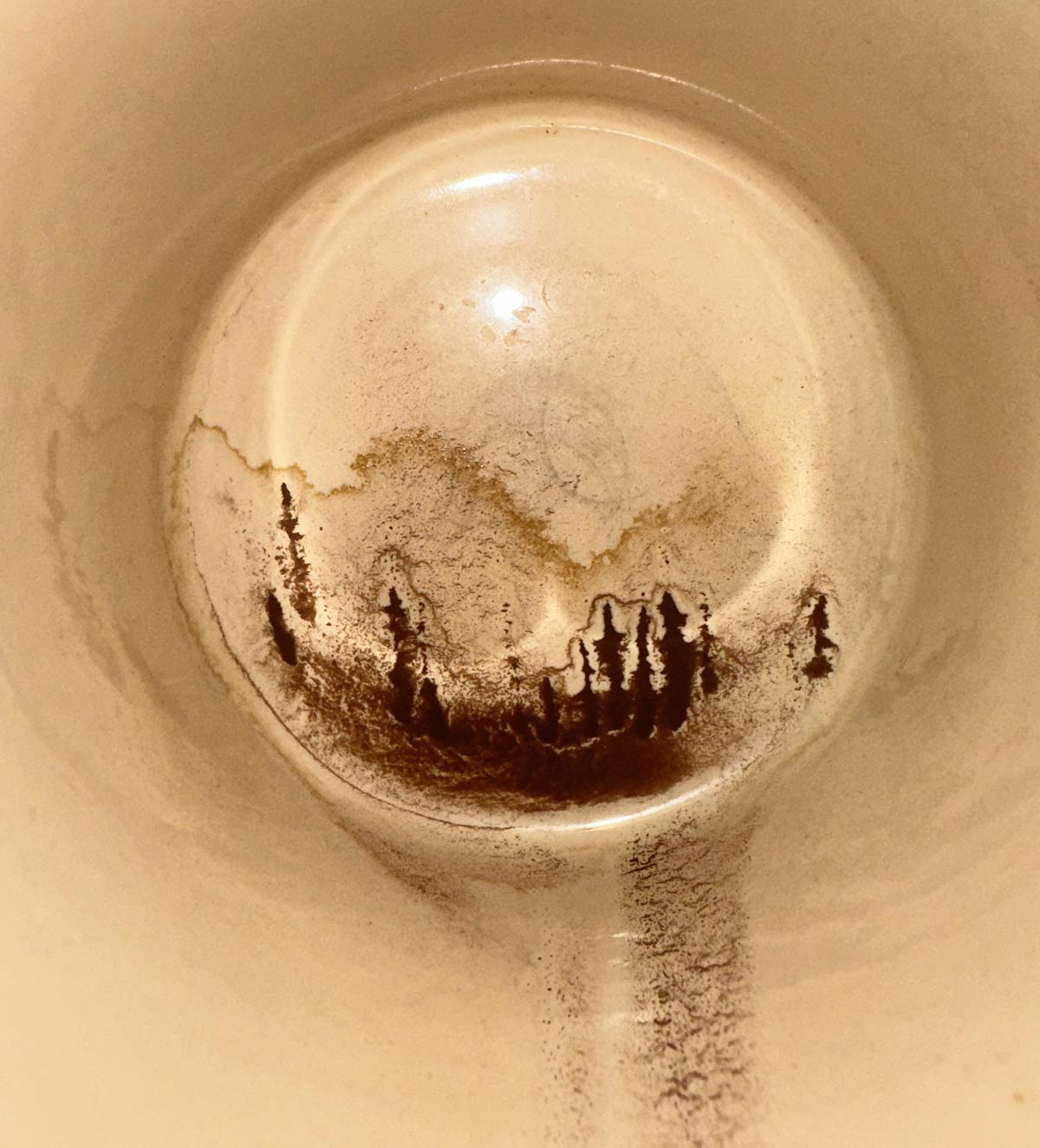 Little forest scene at bottom of my coffee today