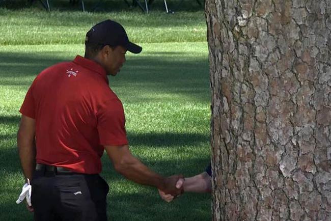 iger Woods and tree congratulate each other on long, illustrious Masters careers
