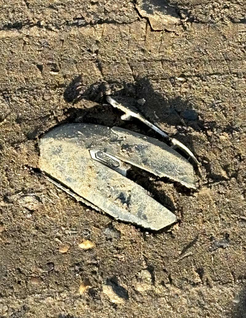I saw a dead mouse at the flea market this morning
