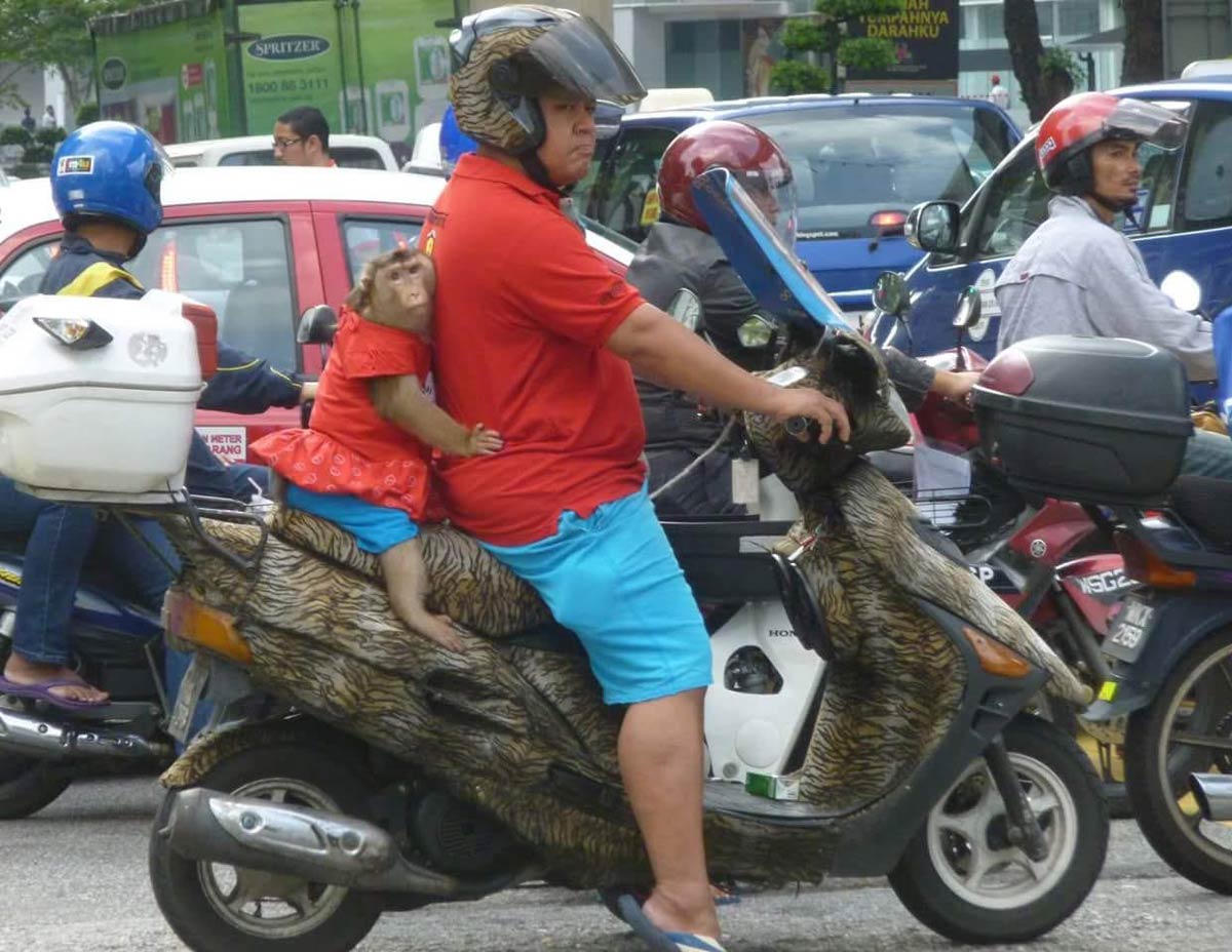 Picture I took 10 years ago in Malaysia. Originally thought it was a toddler without a helmet