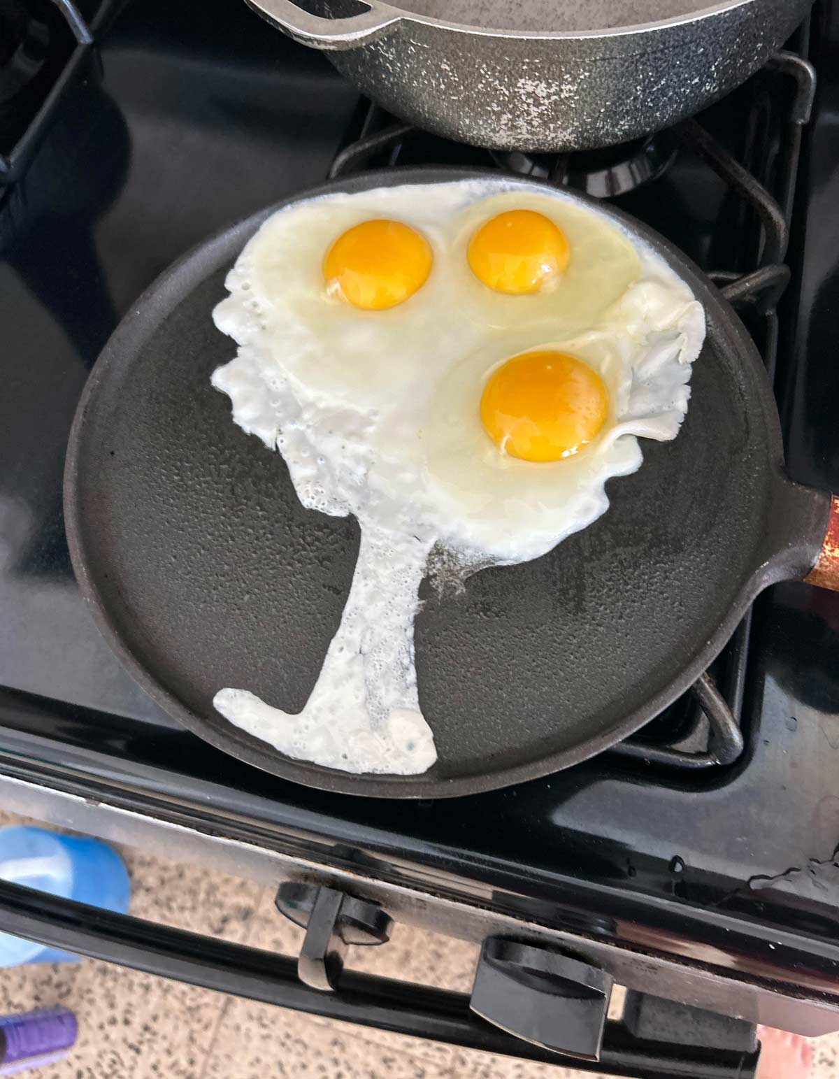 Accidentally made my eggs like this, looks like a tree with oranges