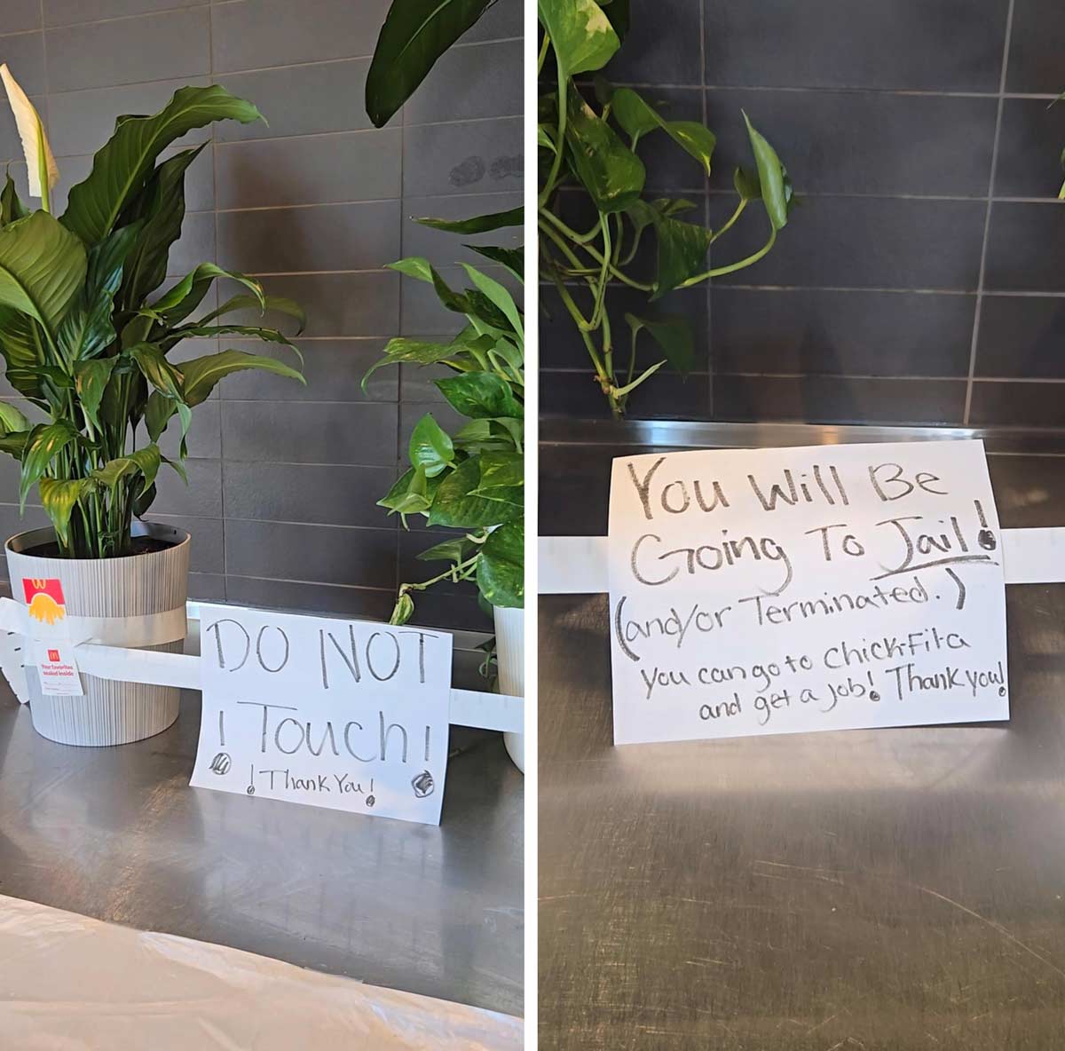 McDonald's isn't playing, "Yes, 911, someone touched my plant!"
