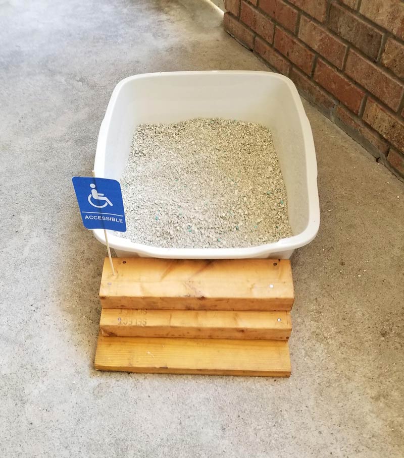 My parents cat got hurt so my dad made him some steps for his litter box