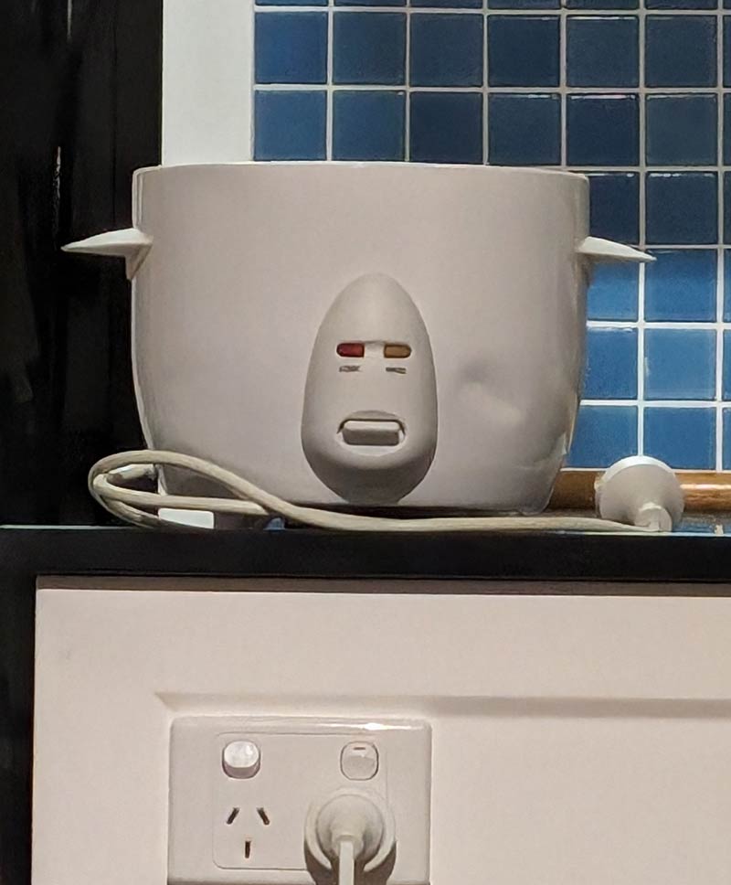 My dad's rice cooker looks unimpressed