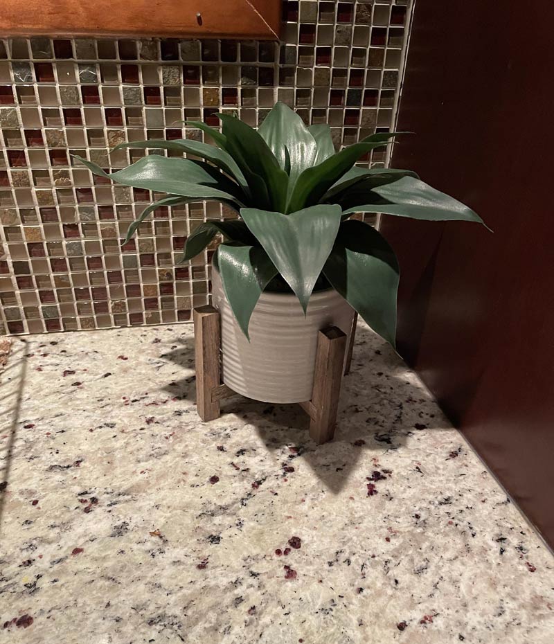 My wife has realized she’d been watering a plastic plant for two years