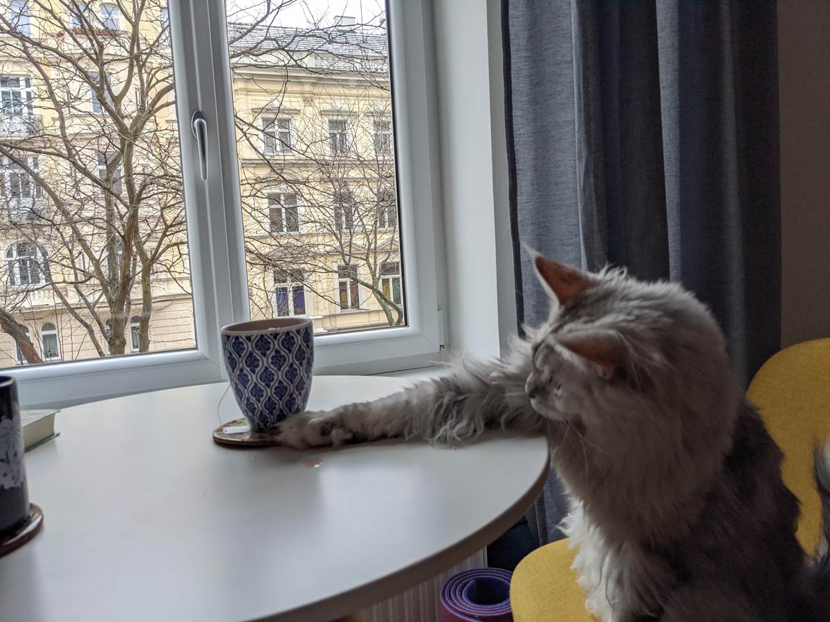 Atlas' Home Office Routine: Coffee First, Work Later