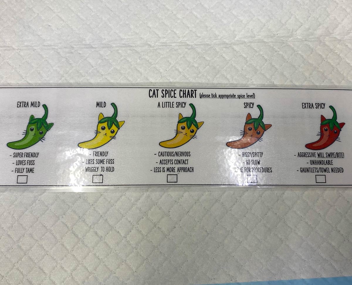 How my work (vet office) measures cats’ temperament