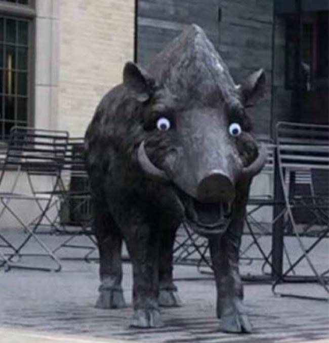 Someone put googly eyes on my schools mascot statue