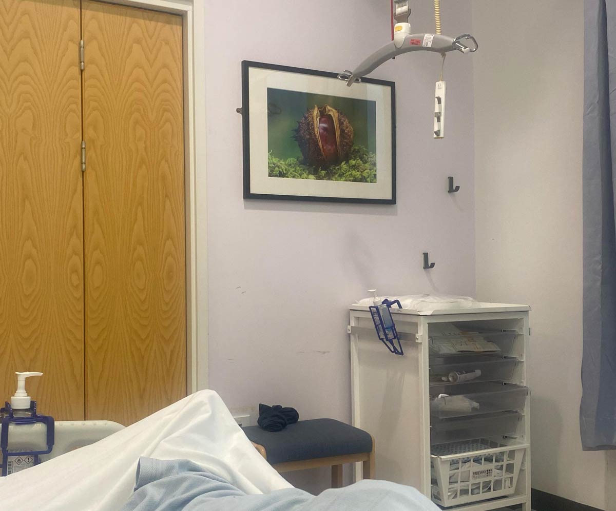Spent the night in hospital with a ruptured testicle after taking a cricket ball to it, and woke up in a room with very fitting artwork...