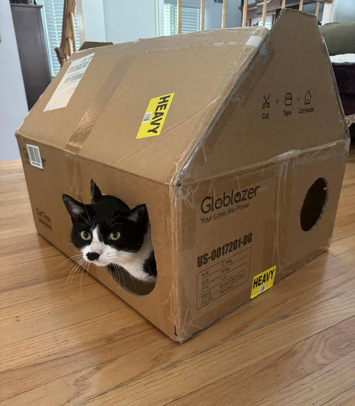 The box my cats new cat tree came in had instructions to turn it into a little house, and my cat prefers the box to the tree