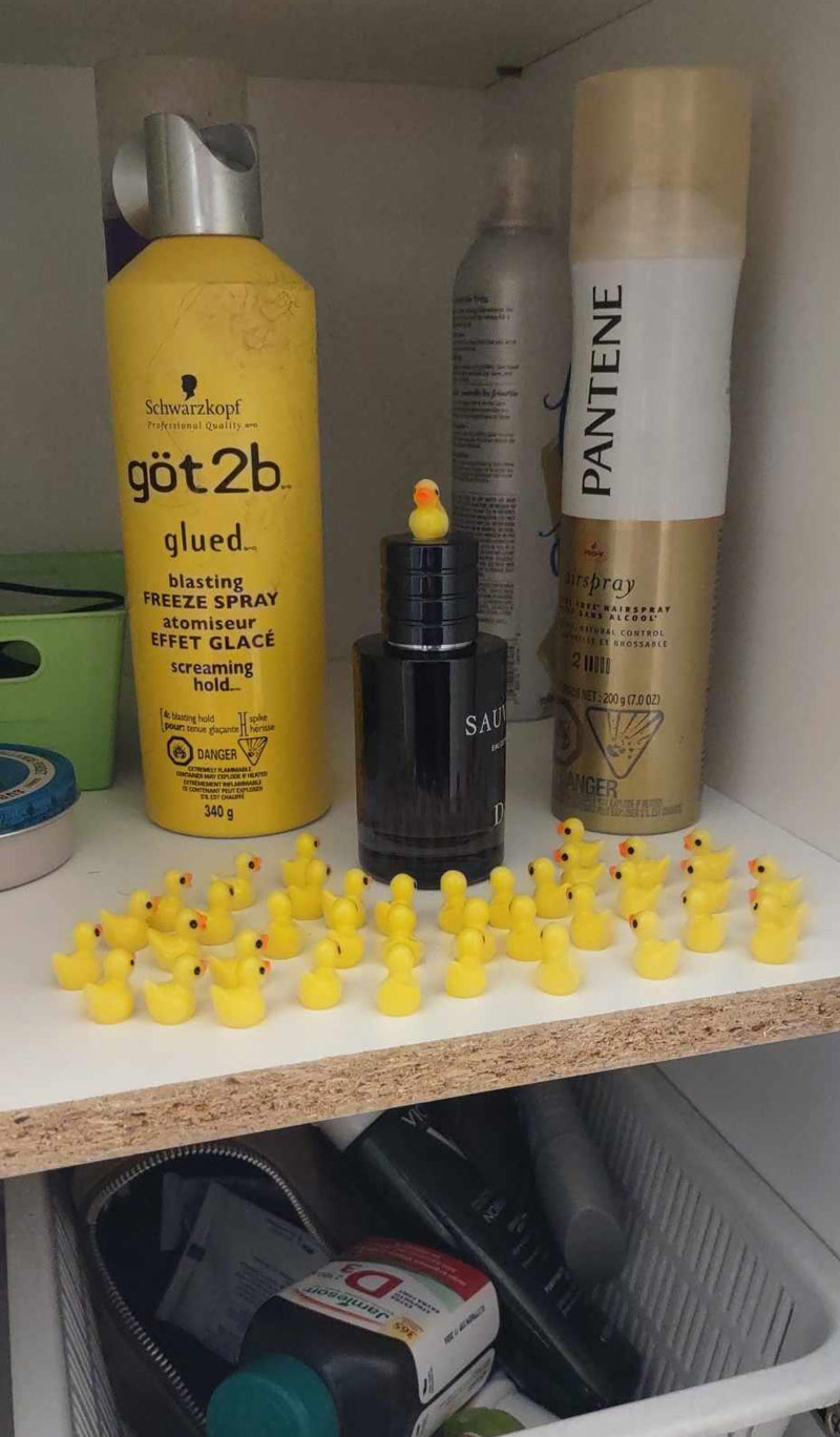 My girlfriend decided to prank me...behold the Ducktator