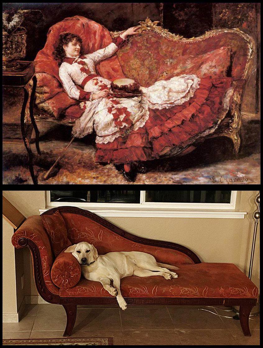 My dog thinks she’s a Victorian Lady
