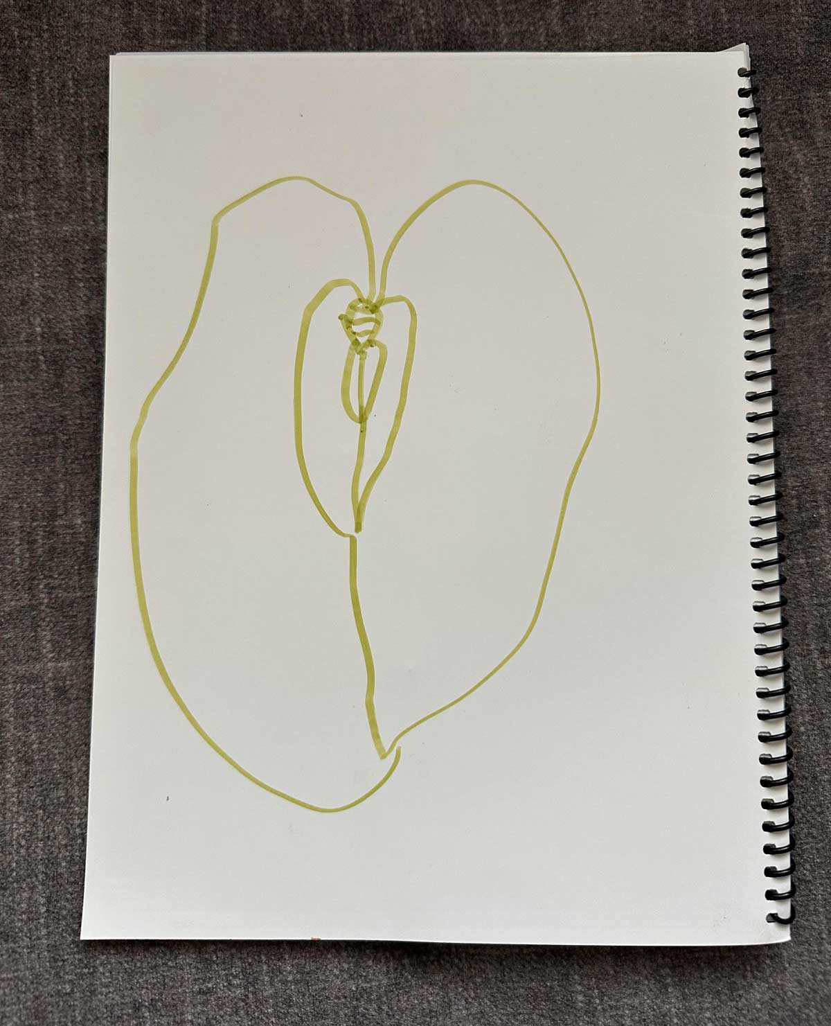 My 5 year old son drew a butterfly