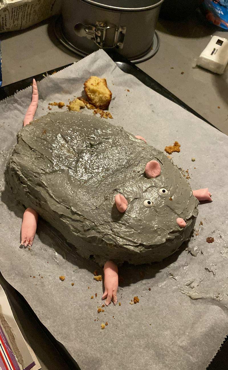 Someone in my group chat sent me a picture of a "cake" he made