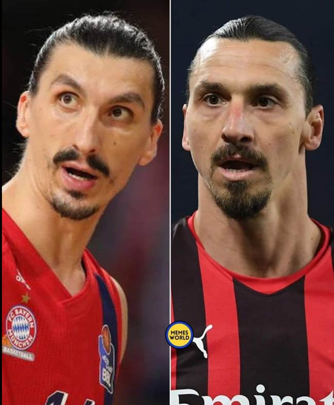 A journalist asked the Bosnian basketball player Nihad Dedovic if he was related to Zlatan Ibrahimovic Dedovic said, No, my father has never been to Sweden. Zlatan replied, But my father has been to Bosnia. Brutal