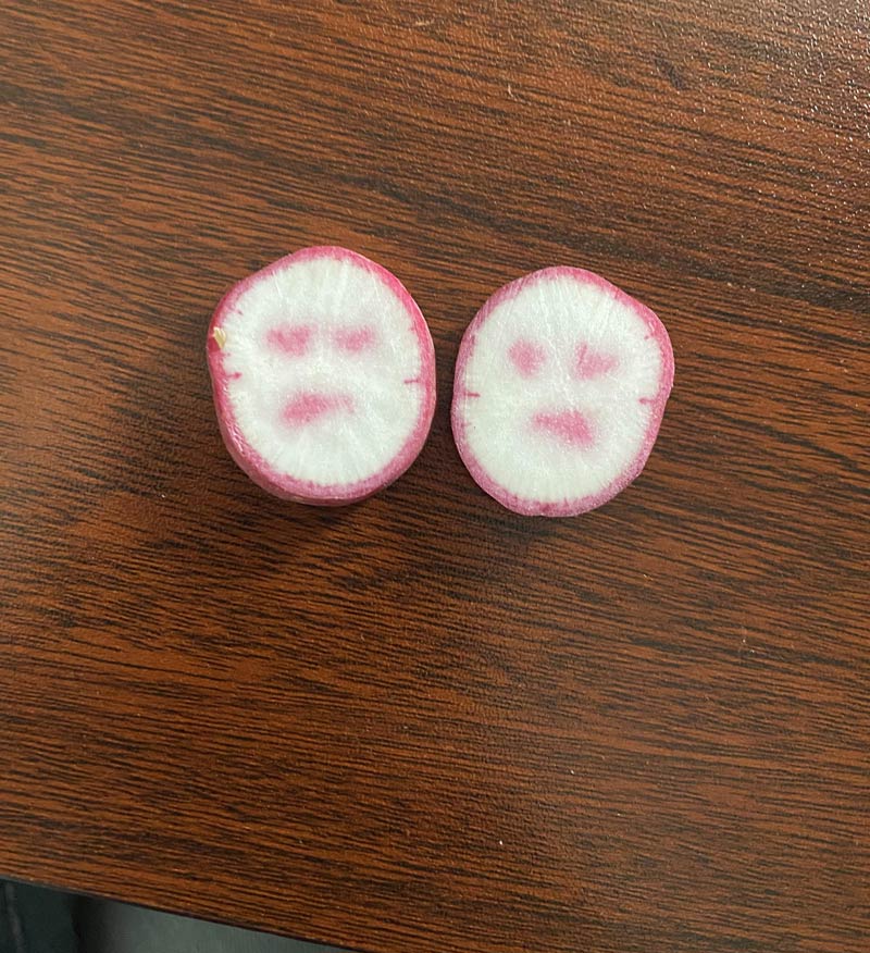 Even my radishes were having a bad day