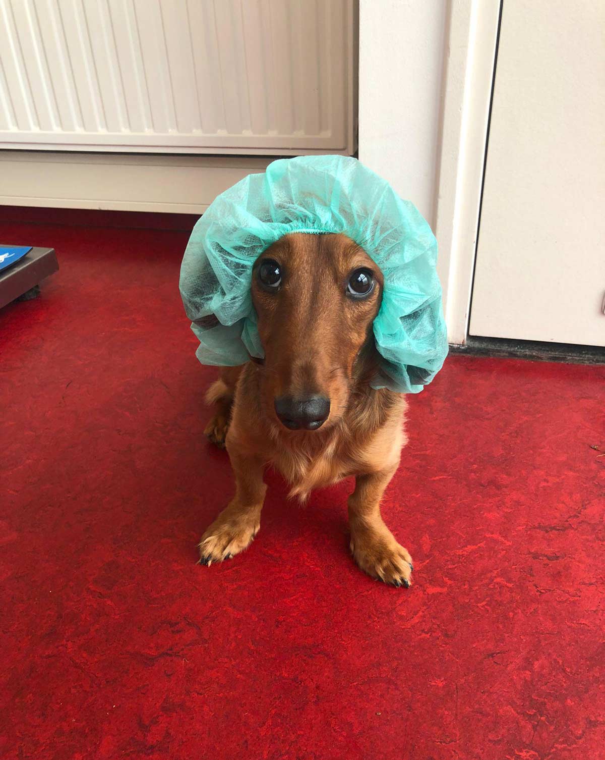 The doctor will see you now
