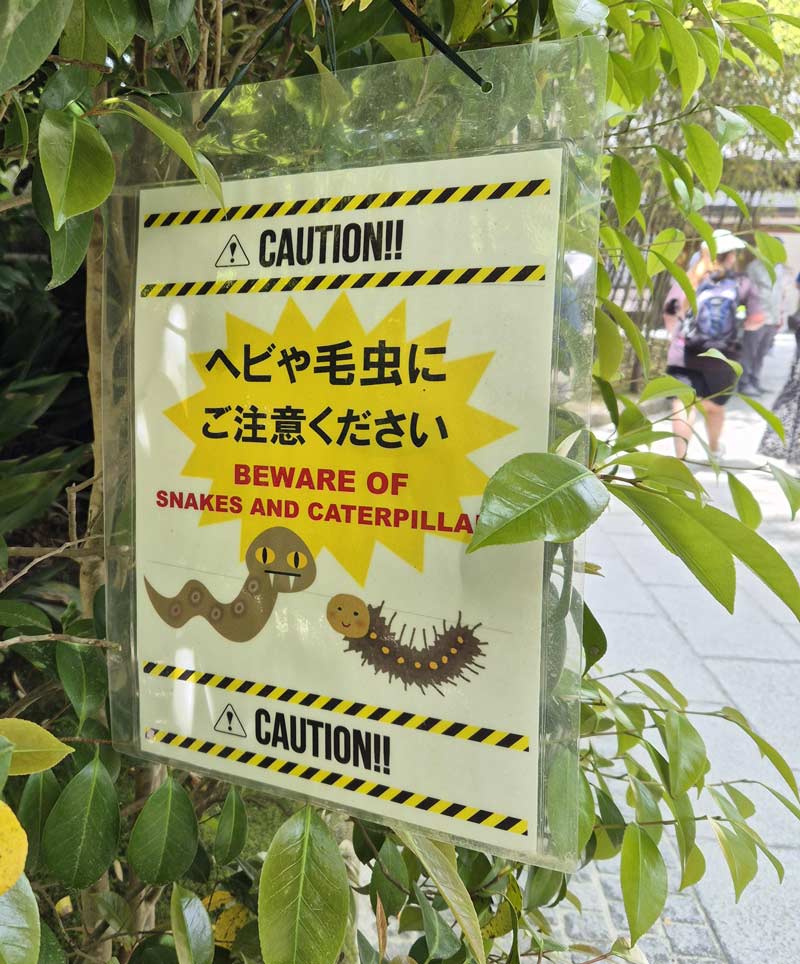 Goes ahead and uses cutest drawings of the two dangers