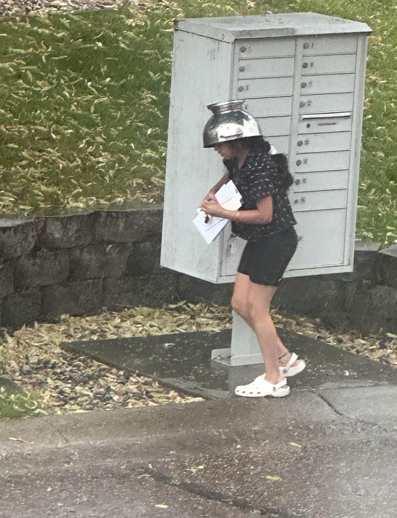 My genius neighbor