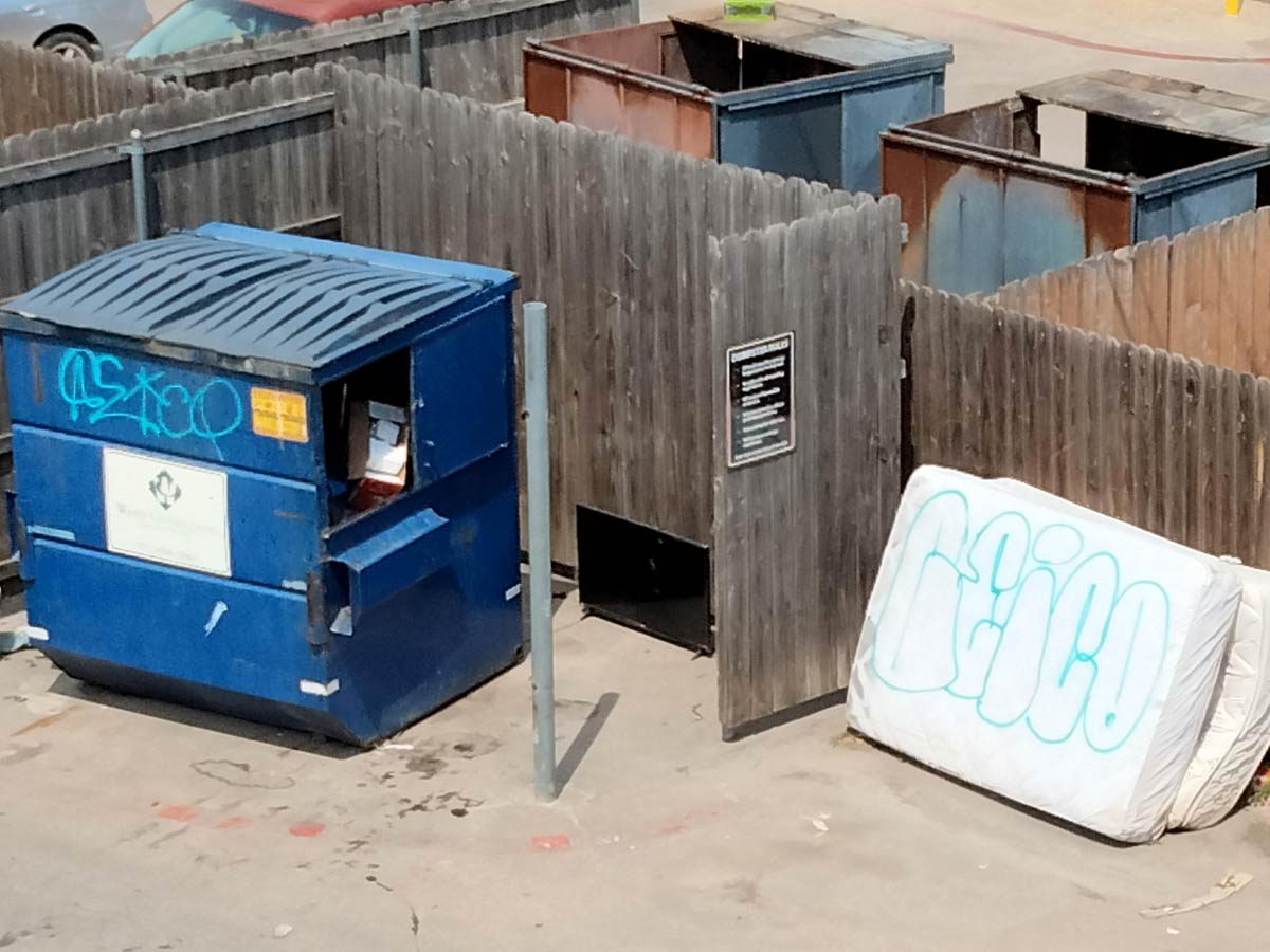 Is this guerrilla marketing or is there a GEICO gang moving into my neighborhood?