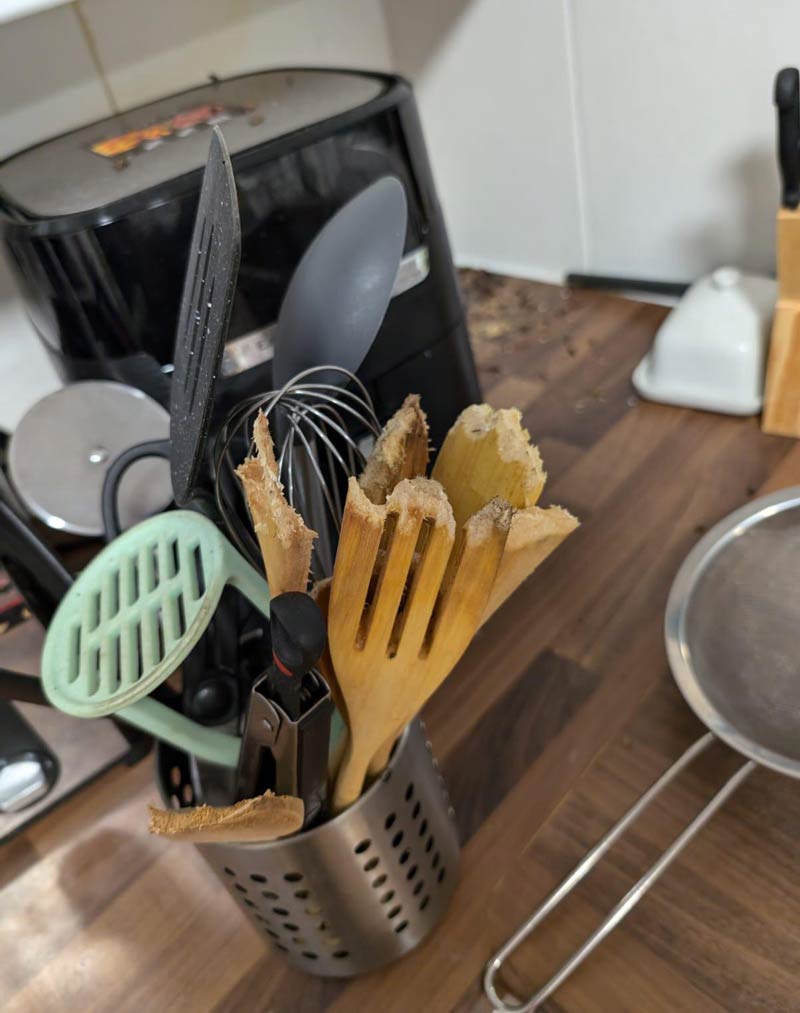 Mice ate my spatulas