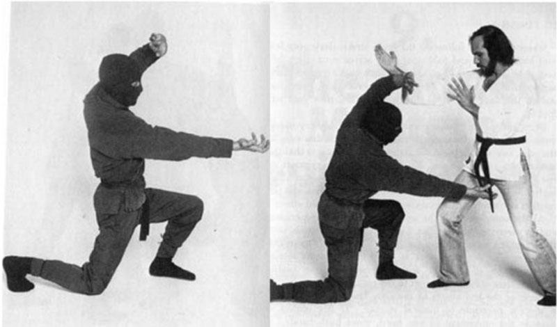 There is a real-life martial art style called "Monkey steal peach" that specializes in grabbing the enemy 'nuts'
