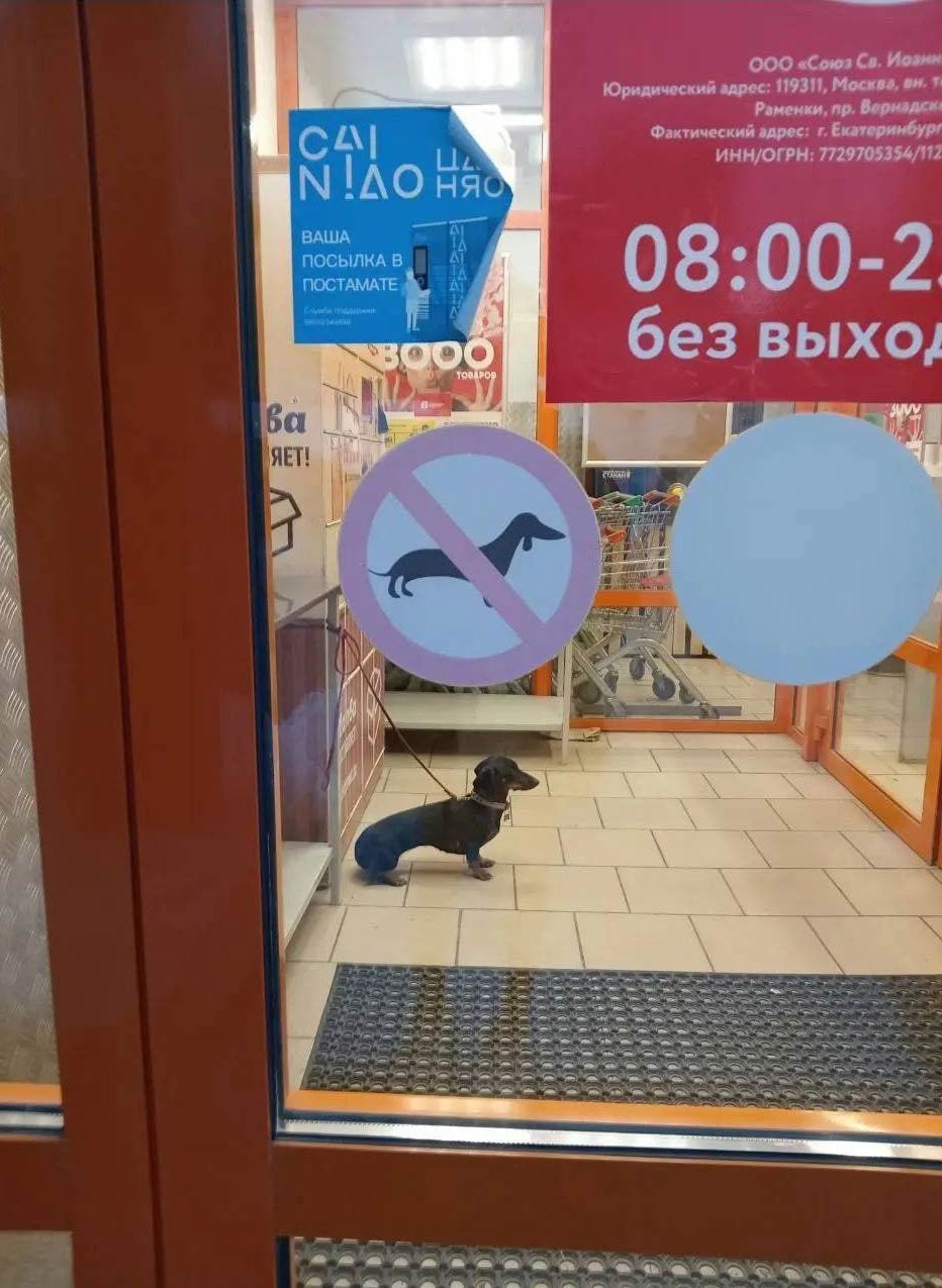 Rules are made to be broken