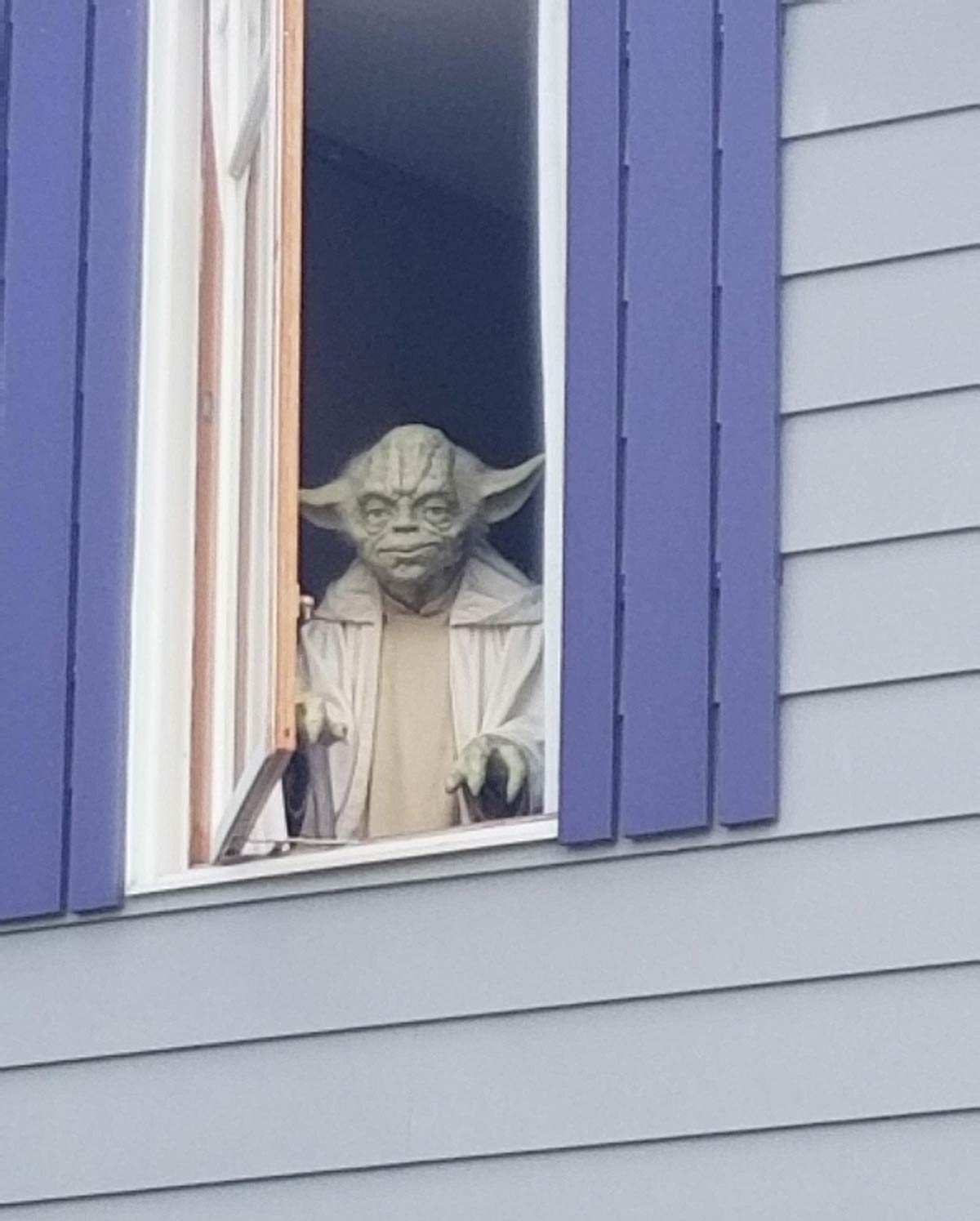 Went on a walk and spotted this creepy Yoda in the window just staring at me