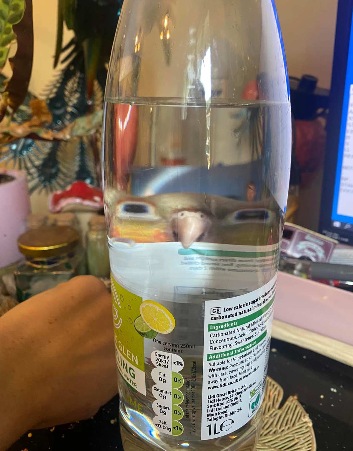 My drink is watching me