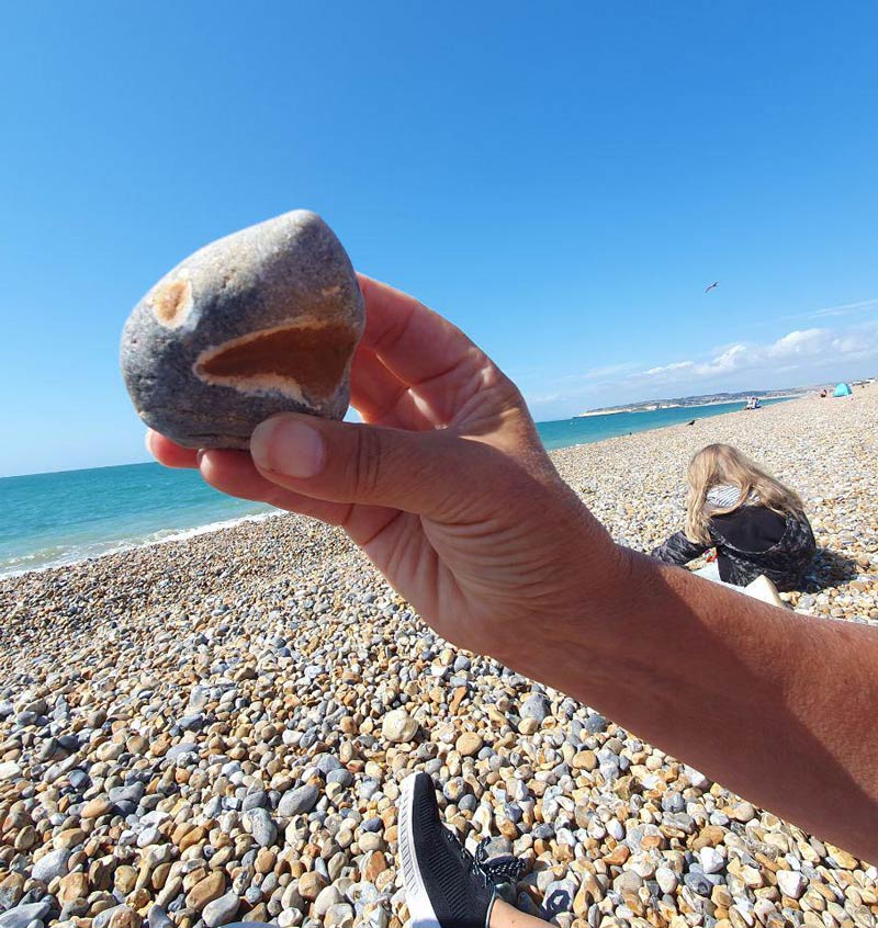 I found a stone that looks like a shark