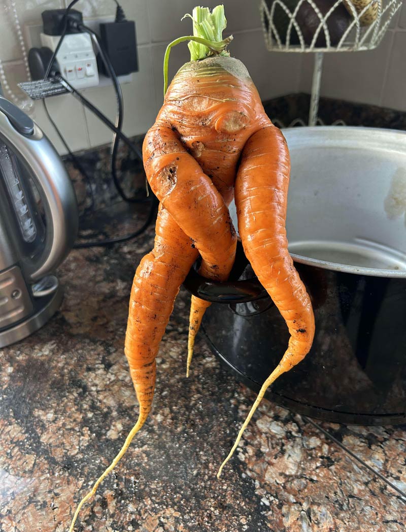 My dad grew a Cthulhu Carrot