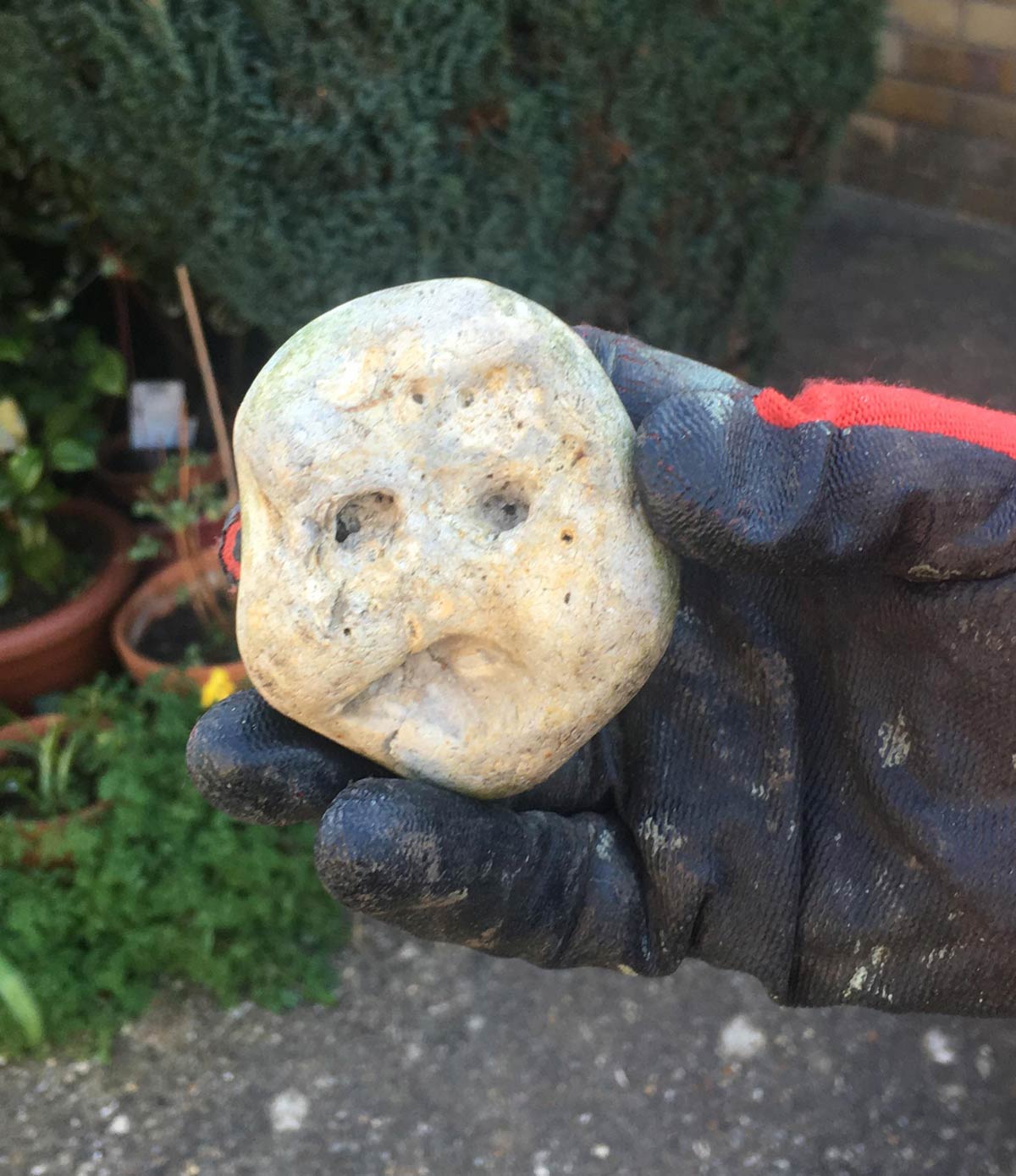 Shocked rock