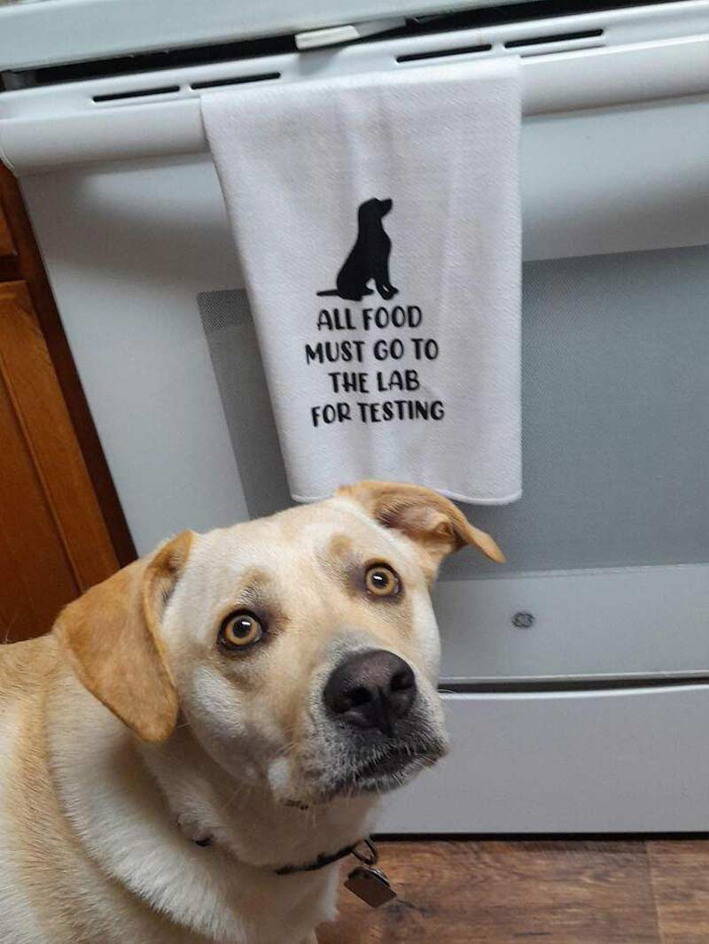 Good policy