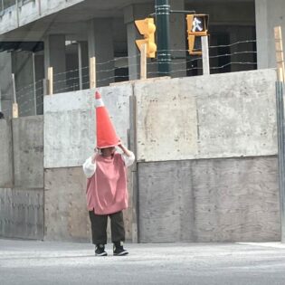 A rare migratory traffic cone