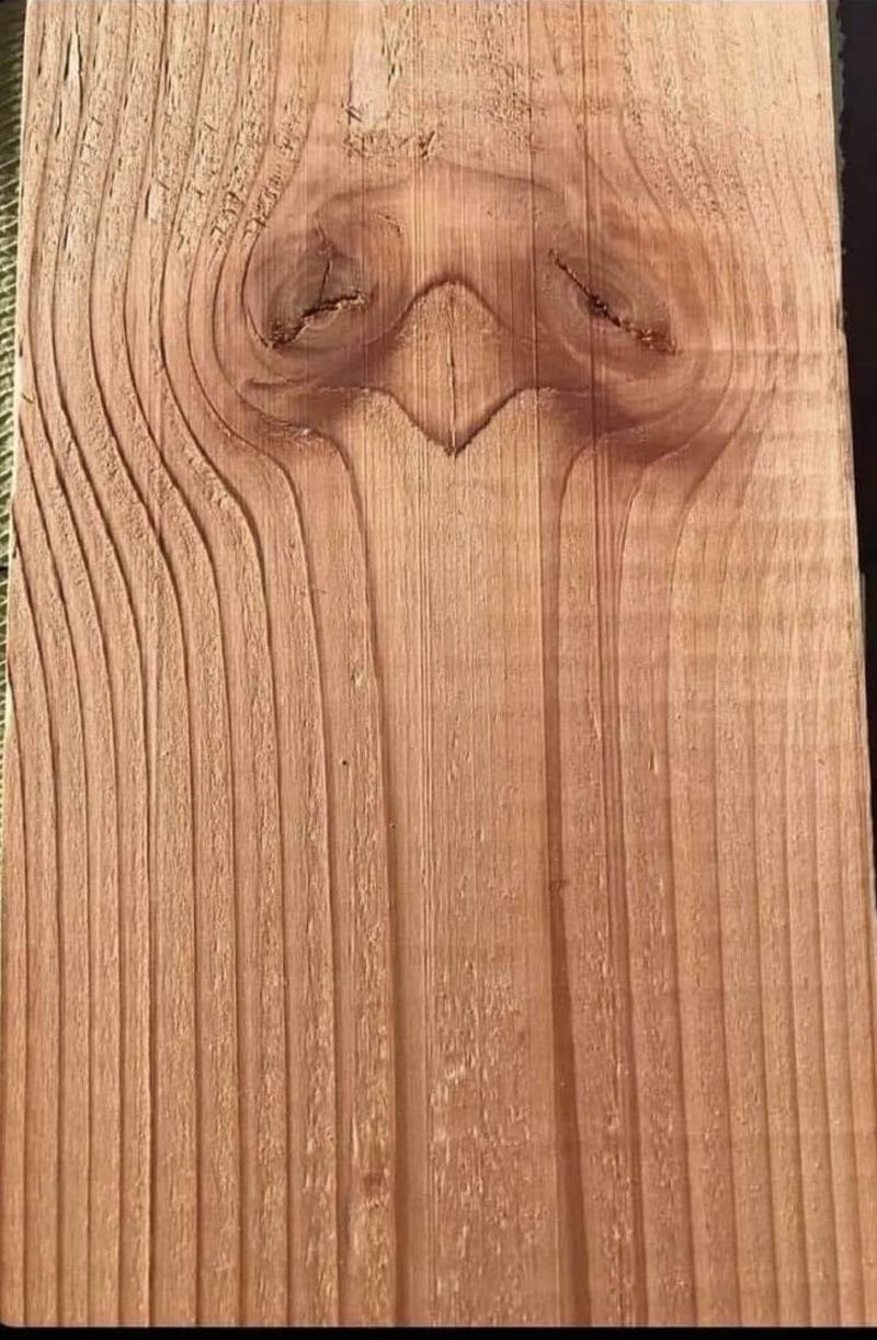 This plank really needs a nap