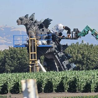 Local farm's effort to run off the Japanese that are eating all their crops