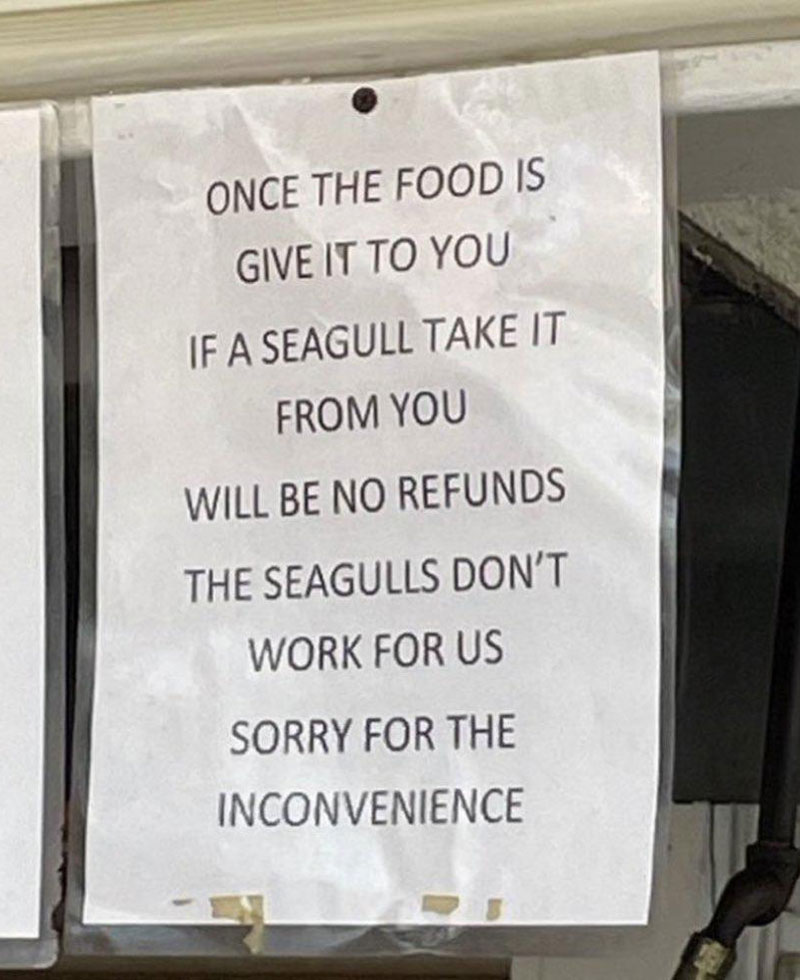 Seagulls freelancing, no refunds