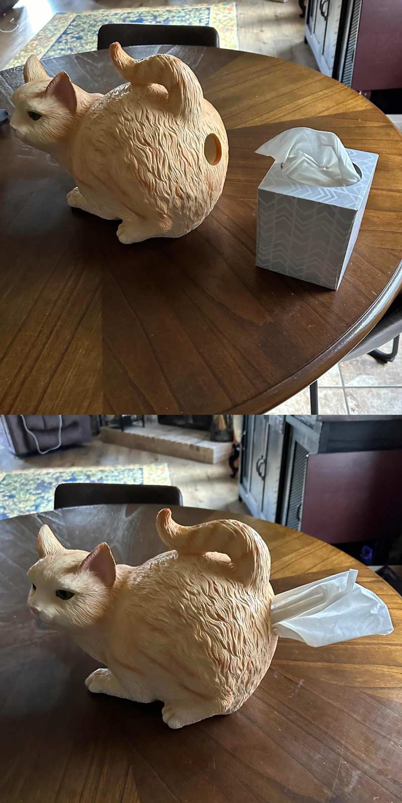 Kitty tissue dispenser