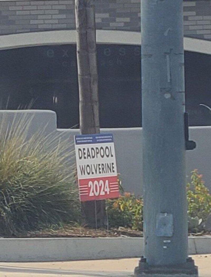 Seen in the wild