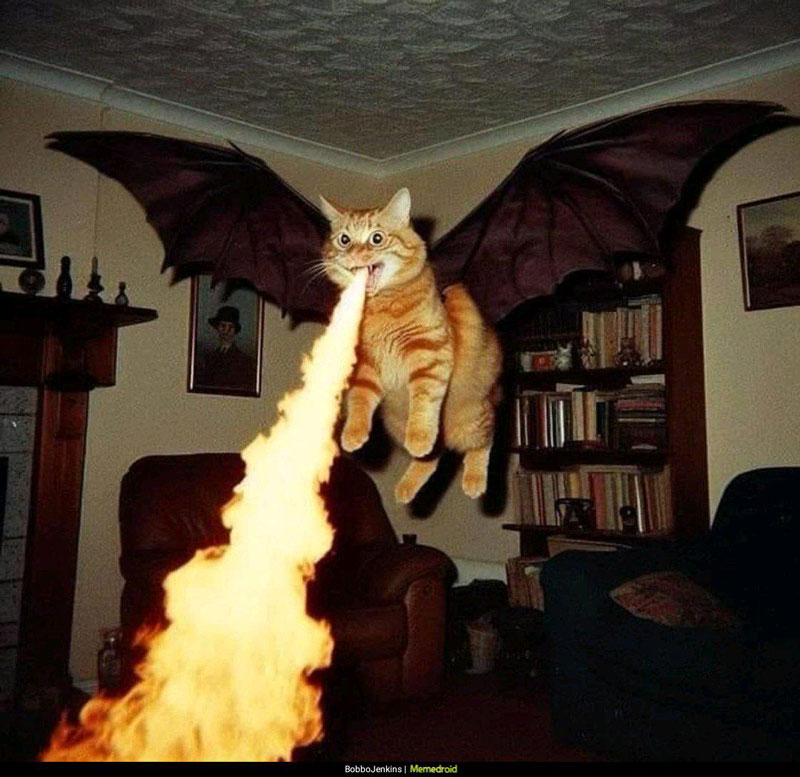 Smaug