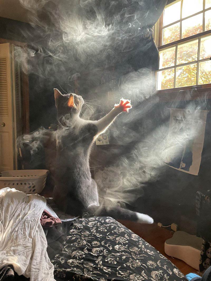 Summoning demons
