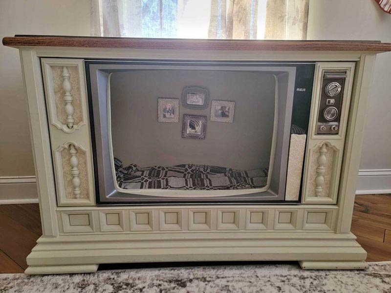 TV Dog Bed