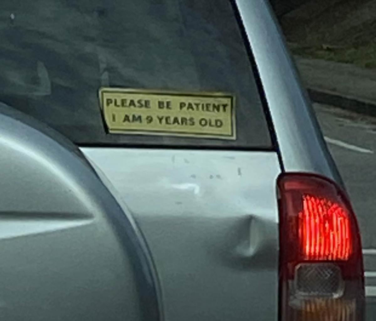 The Dog is driving