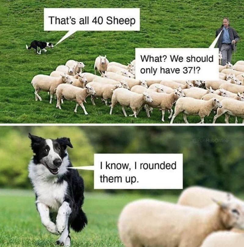 What a good boy!